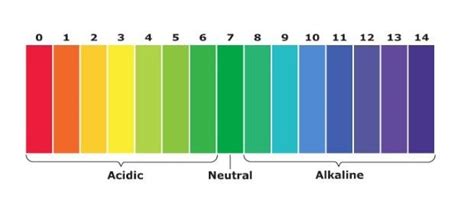 Guide on How to Use Proteinase K in Different Procedures